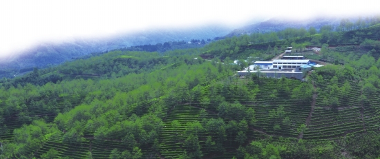 2015042914_res11_attpic_brief.jpg